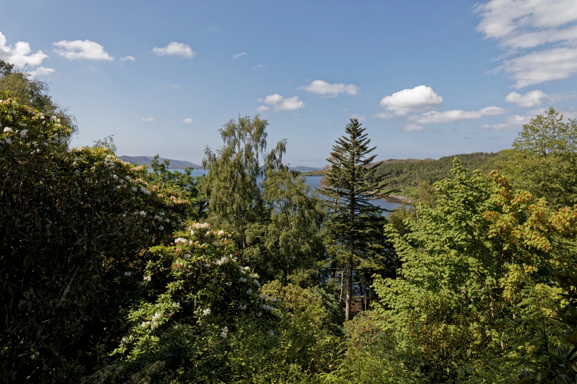 Inverewe[1].webp